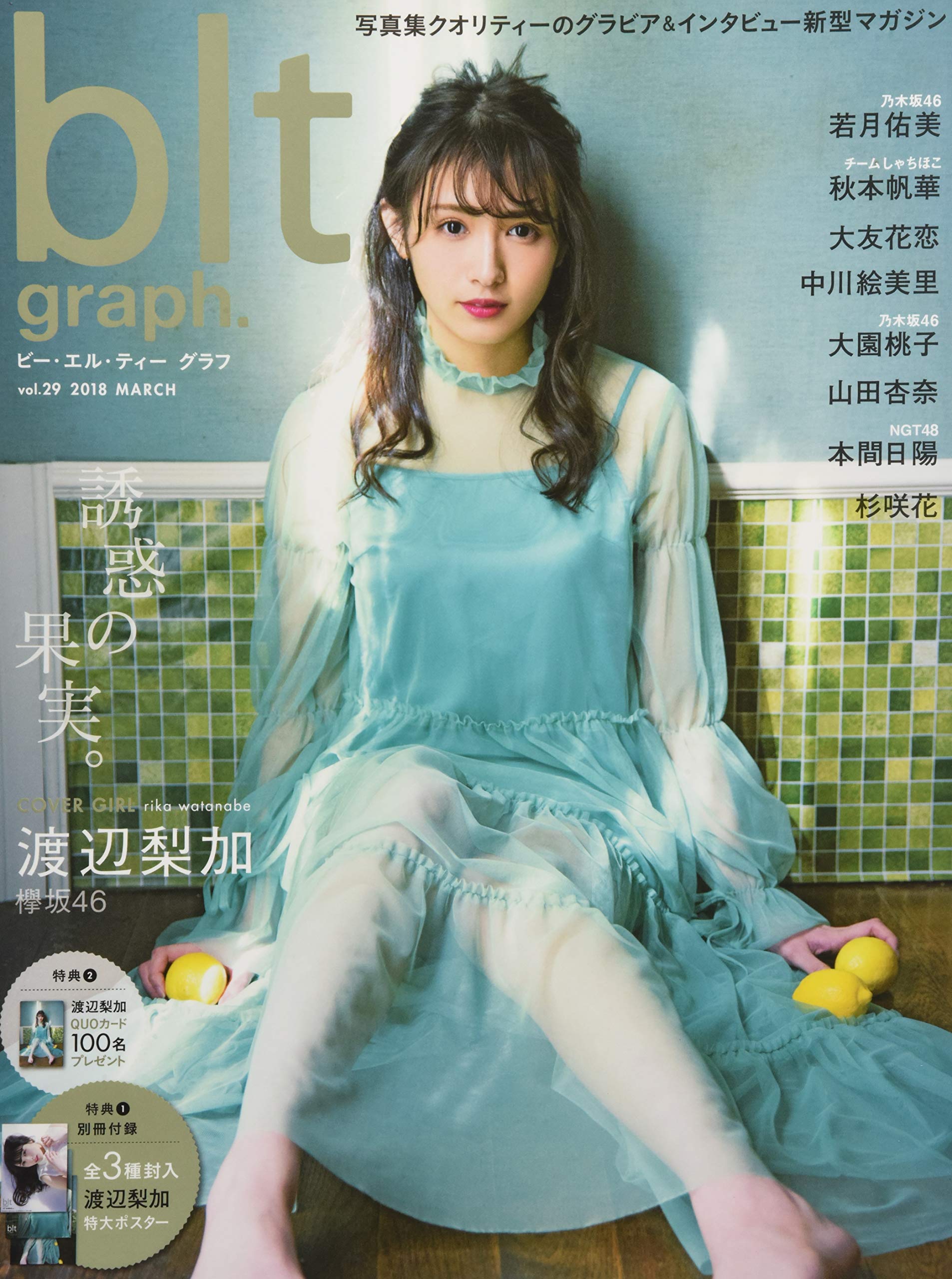 blt graph. vol.29表紙画像
